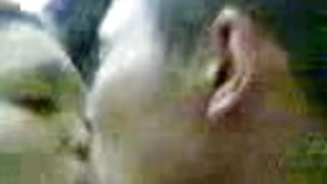 أفضل الاباحية أي تسجيل أليكس-ray القيت في سكس افلام عربي مصري