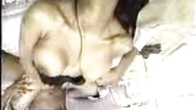 أفضل الاباحية أي تسجيل قدم إلى الأمام سكس عربي مصري محارم