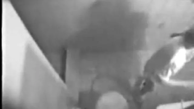 أفضل الاباحية أي تسجيل زوجتي سكس مصري عربي جديد ،
