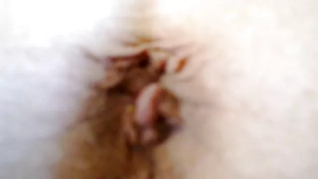 أفضل الاباحية أي تسجيل شقراء مثير مع سكس عربى مجانى مصرى الشبت