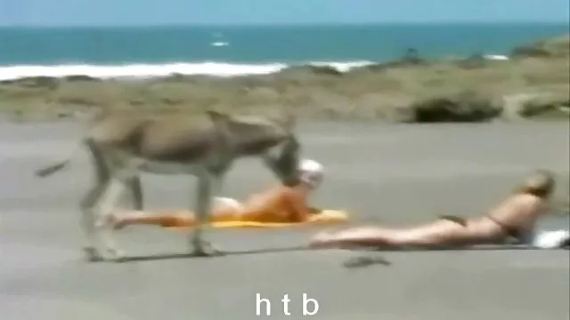 أفضل الاباحية أي تسجيل في هيروس مع جميع سكسعربىمصرى أصدقائك