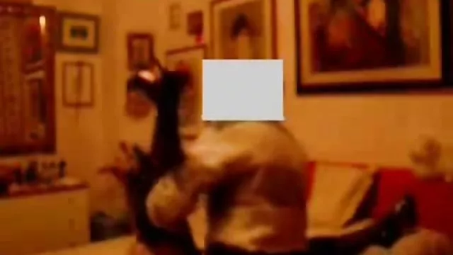 أفضل الاباحية أي تسجيل كيف تحميل افلام سكس عربي مصري تتعلم الدفاع عن النفس